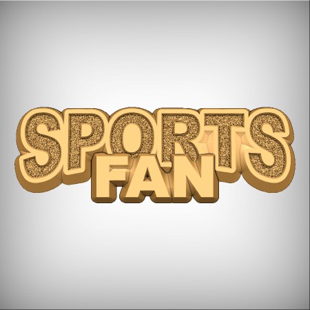 sports fan